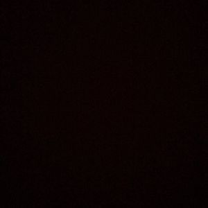 Meet your Posher, Audrey